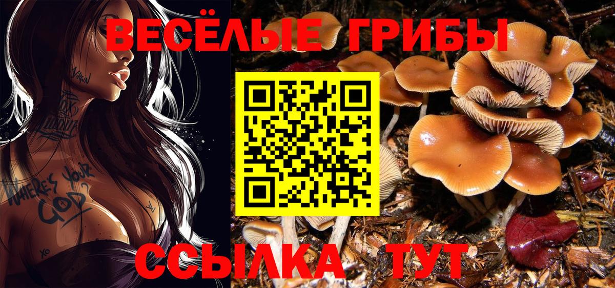 Галлюциногенные грибы мухоморы  Вход с VPN  Тихорецк 